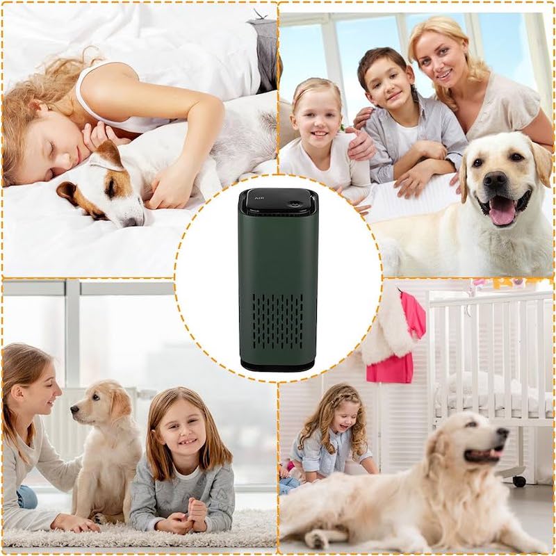 AirPure - Mini HEPA Air Purifier